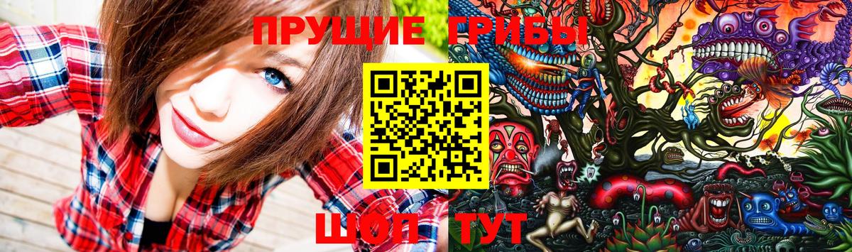 закладки  Псилоцибиновые грибы Psilocybe  Вход с VPN  Чернушка 